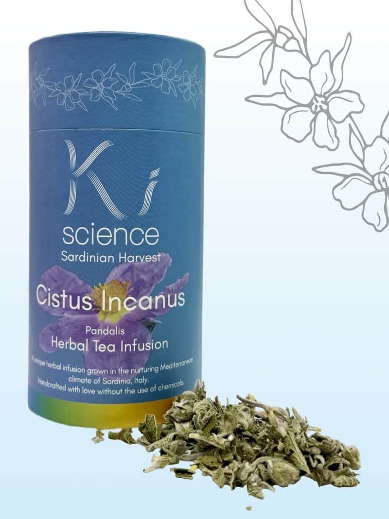 Cistus Incanus Infusion