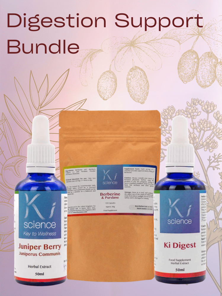 Digestion Support Bundle